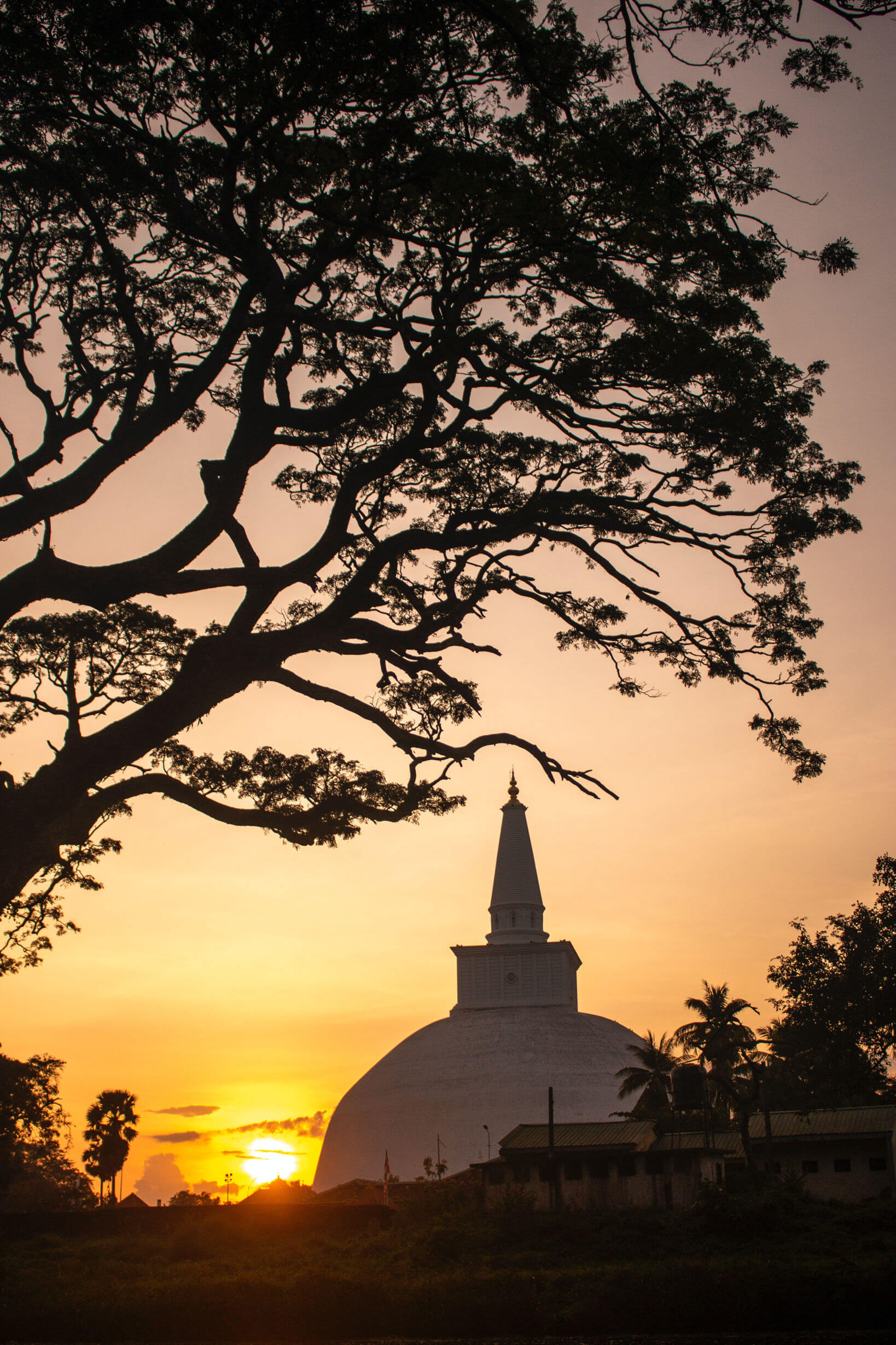 Anuradhapura