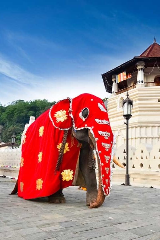 Temple of the Tooth Relic