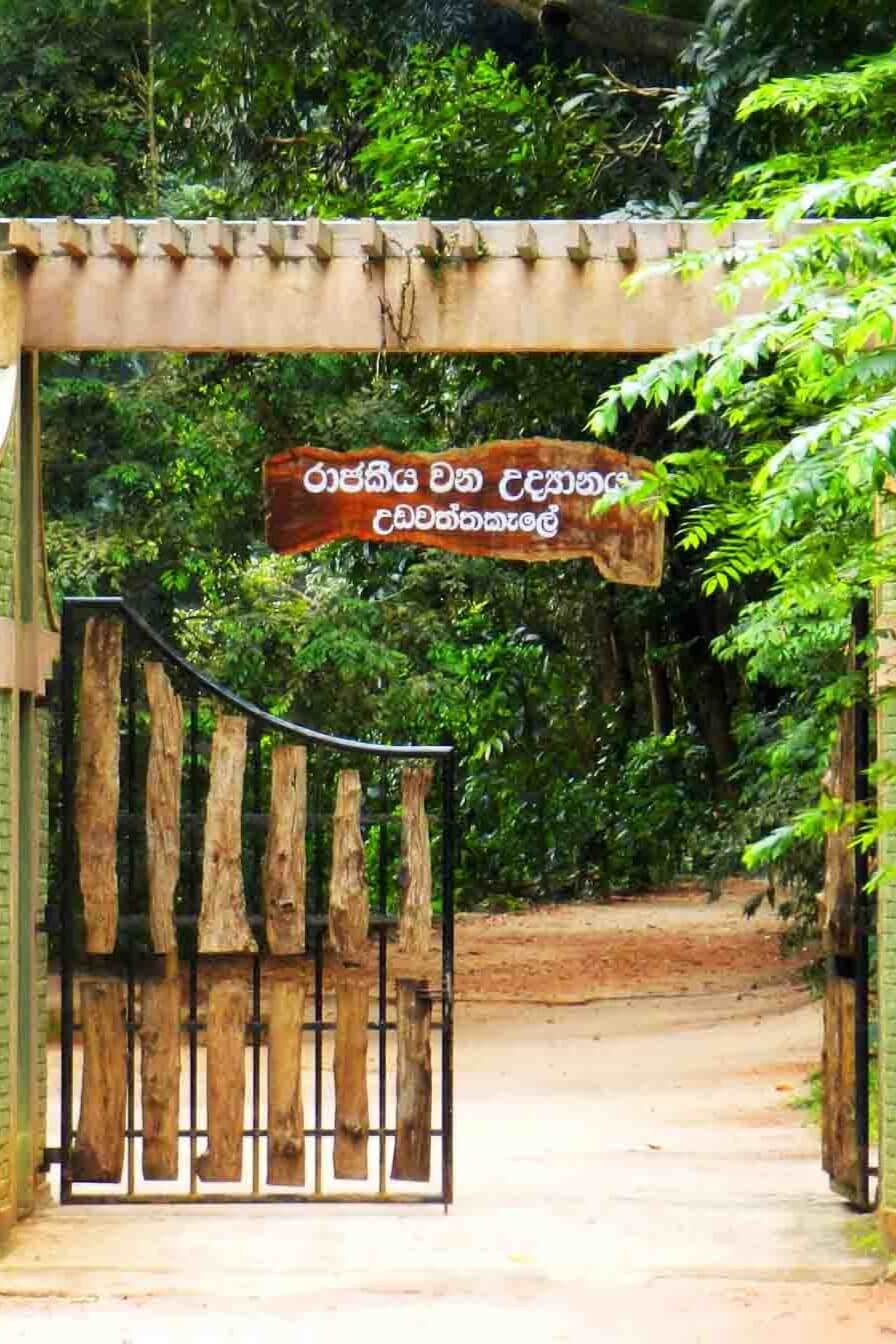 Udawatta Kele Sanctuary