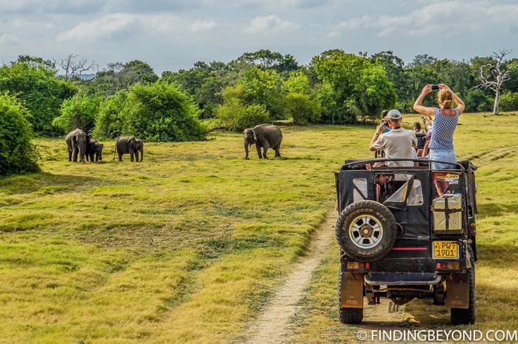 Kaudulla National Park Sri Lanka Miracle Planets