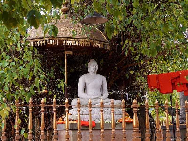 Kelaniya Raja Maha Viharaya Sri Lanka Miracle Planets