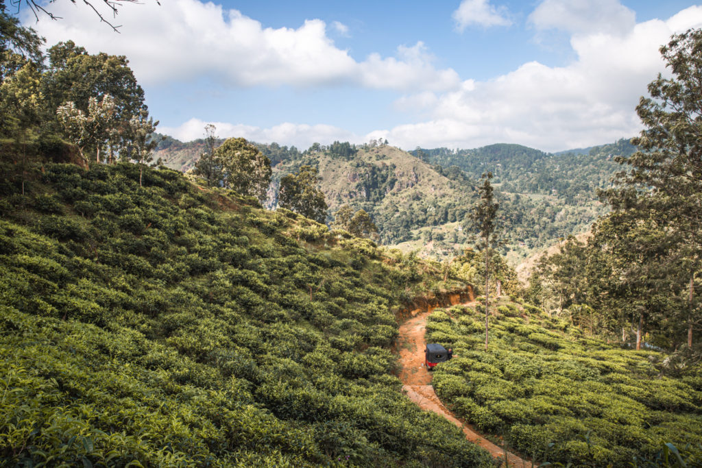 Little Adam's Peak Sri Lanka Miracle Planets