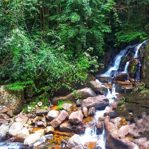 Makandawa Rain Forest Miracle Planets 