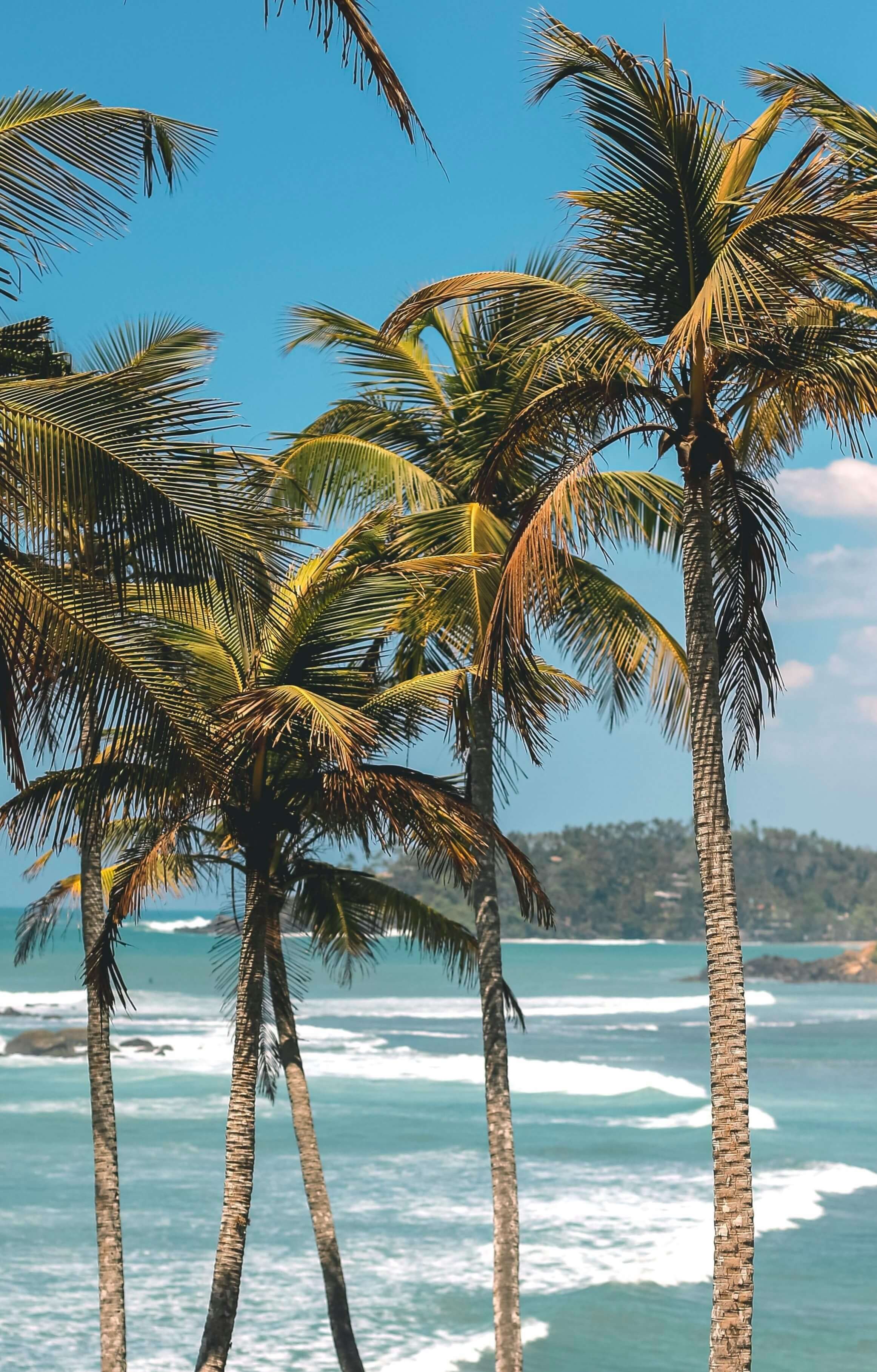 Mirissa Beach Sri Lanka Miracle Planets