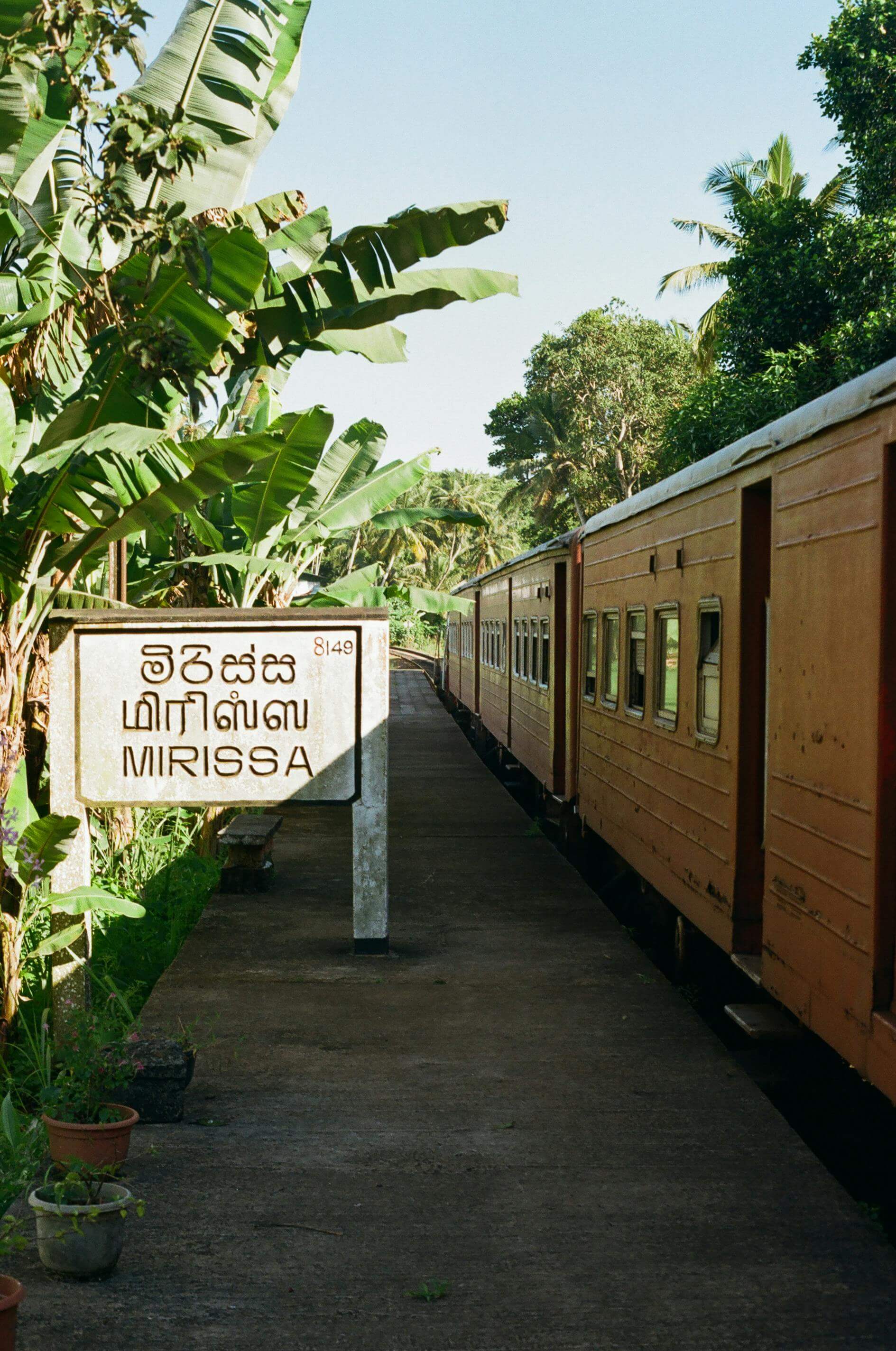 Mirissa Beach Sri Lanka Miracle Planets