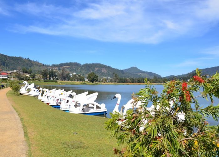 nuwaraeliya srilanka miracle planets