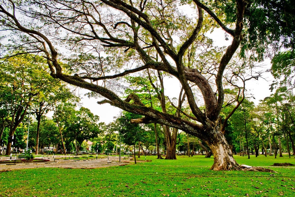 Viharamahadevi park Sri lanka Miracle Planets