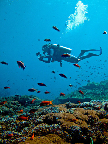 Diving
