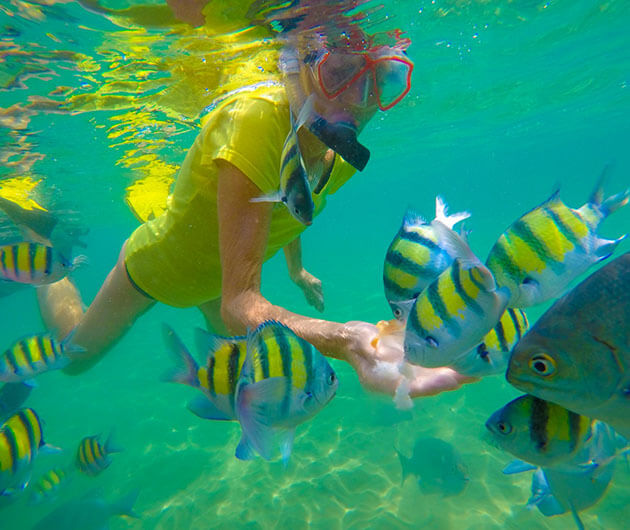 Snorkeling