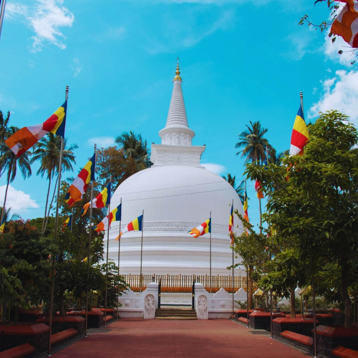 RT0010-Mutiyangana-MiraclePlanetsSriLanka