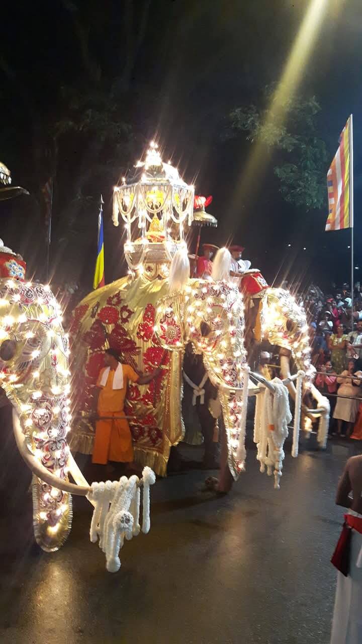 Festival